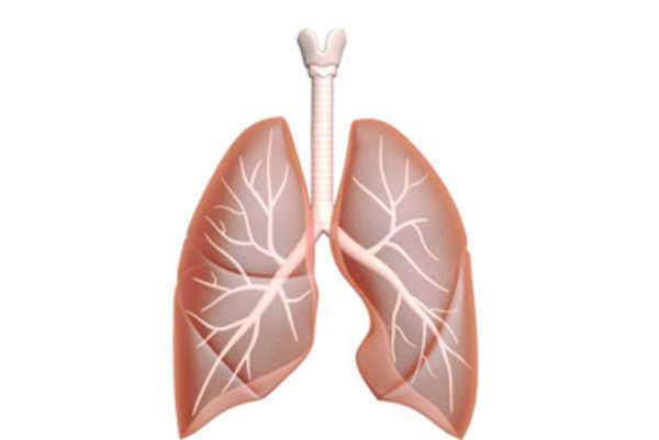 Lung Cancer